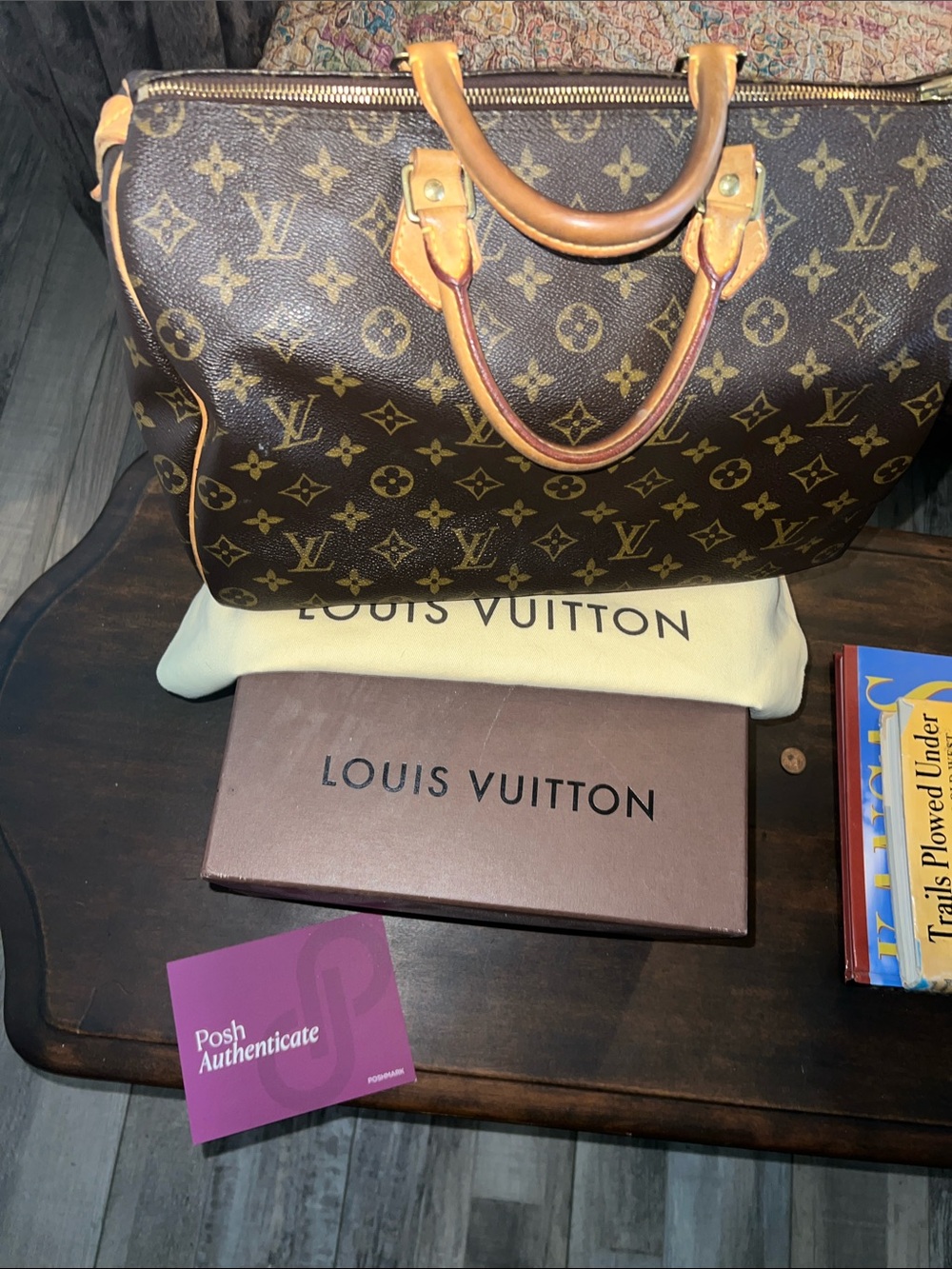 Louis Vuitton Monogram Speedy Satchel in Brown and Tan